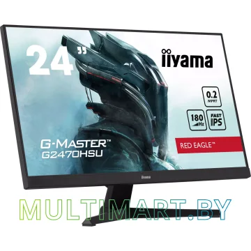 Игровой монитор Iiyama G-Master Red Eagle GB2470HSU-B6 картинка 4